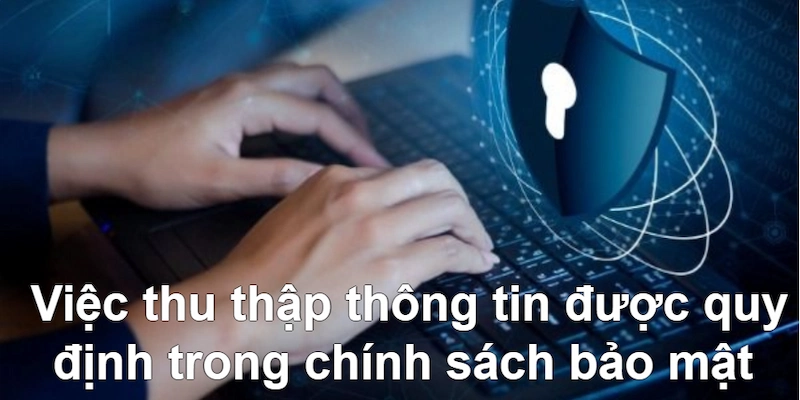 Giúp 777Loc nâng cao chất lượng trải nghiệm